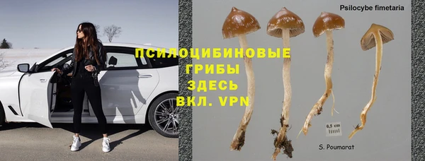 ГАЛЛЮЦИНОГЕННЫЕ ГРИБЫ Армянск