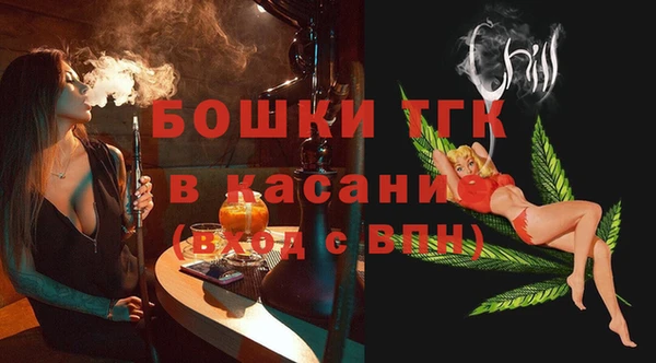 гидра Пересвет