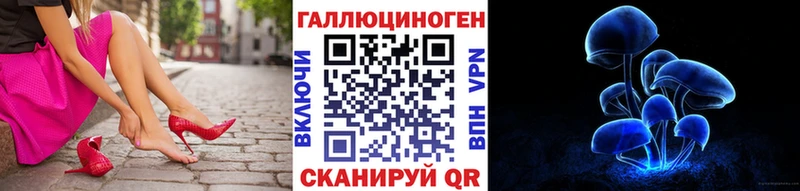 Псилоцибиновые грибы Psilocybe  закладка  Менделеевск 